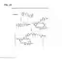 Fig. 18 - CYTOTOXIC AGENTS COMPRISING NEW ANSAMITOCIN DERIVATIVES