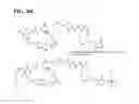 Fig. 30 - CYTOTOXIC AGENTS COMPRISING NEW ANSAMITOCIN DERIVATIVES