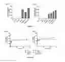 Fig. 07 - PLATFORM FOR TARGETED DELIVERY TO STEM CELLS AND TUMOR CELLS AND USES THEREOF