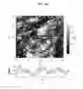 Fig. 50 - Nanodiamond particle complexes