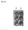 Fig. 55 - Nanodiamond particle complexes
