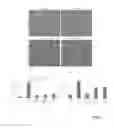 Fig. 06 - Selective gene therapy expression system