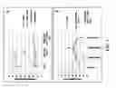 Fig. 04 - Preparation of bone-seeking superparamagnetic iron nanoparticles as contrast agents and methods for using the same
