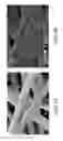 Fig. 05 - CHITOSAN-BASED HEMOSTATIC TEXTILE