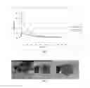 Fig. 06 - Biomaterial compositions
