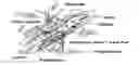 Fig. 01 - Mimetic tissue structure containing extracellular matrix protein-bone mineral complex and method for manufacturing same