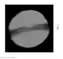 Fig. 04 - MULTI-STEP METHOD FOR FABRICATING TISSUE ENGINEERING BONE