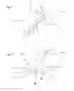 Fig. 04 - Drug injection device with particular optical window elements for unambiguous legibility of dose value