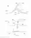 Fig. 19 - Cryolipolysis devices and methods therefor
