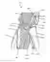 Fig. 22 - Cryolipolysis devices and methods therefor