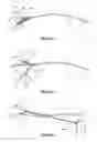 Fig. 03 - Peelable protective sheath