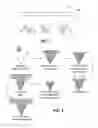 Fig. 04 - MICROSTRUCTURE ARRAY FOR DELIVERY OF ACTIVE AGENTS