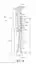 Fig. 06 - Interventional medical systems, devices, and components thereof