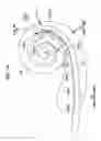 Fig. 03 - Event Detection In An Implantable Auditory Prosthesis