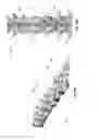 Fig. 53 - Leadless neurostimulator