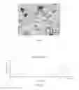 Fig. 02 - Surfactant microbubbles and process for preparing and methods of using the same