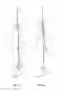 Fig. 03 - Knee ascender assembly for rope climbing