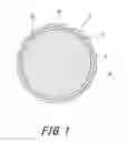 Fig. 02 - Golf ball