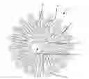Fig. 01 - Construction toy element and set