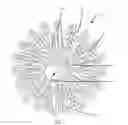 Fig. 02 - Construction toy element and set
