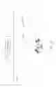 Fig. 12 - Special effects techniques