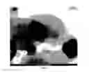 Fig. 05 - Ni—MgO—ZnO solid catalysts for syngas preparation and process for the preparation thereof