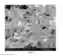 Fig. 10 - Ni—MgO—ZnO solid catalysts for syngas preparation and process for the preparation thereof