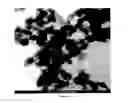 Fig. 11 - Ni—MgO—ZnO solid catalysts for syngas preparation and process for the preparation thereof