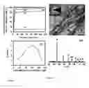 Fig. 06 - Semiconductor-oxides nanotubes-based composite particles useful for dye-removal and process thereof