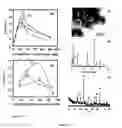 Fig. 07 - Semiconductor-oxides nanotubes-based composite particles useful for dye-removal and process thereof