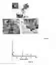 Fig. 12 - Semiconductor-oxides nanotubes-based composite particles useful for dye-removal and process thereof