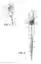 Fig. 02 - Pipetting system with improved control and volume adjustment