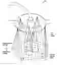 Fig. 01 - Immersive showerhead