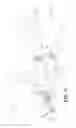 Fig. 15 - Apparatuses and methods for applying viscous material to a fastener