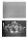 Fig. 10 - Method and system for cleaning copper-exposed substrate