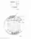 Fig. 06 - Apparatus and method for the dry removal of labels from containers made of plastics