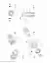 Fig. 08 - Apparatus and method for the dry removal of labels from containers made of plastics