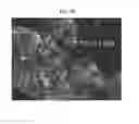 Fig. 11 - Intermetallic nanoparticles