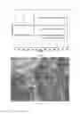 Fig. 06 - Thermoelectric materials synthesized by self-propagating high temperature synthesis process and methods thereof