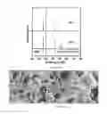 Fig. 14 - Thermoelectric materials synthesized by self-propagating high temperature synthesis process and methods thereof