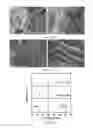 Fig. 17 - Thermoelectric materials synthesized by self-propagating high temperature synthesis process and methods thereof