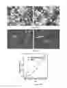 Fig. 20 - Thermoelectric materials synthesized by self-propagating high temperature synthesis process and methods thereof