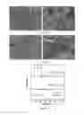 Fig. 28 - Thermoelectric materials synthesized by self-propagating high temperature synthesis process and methods thereof