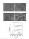 Fig. 29 - Thermoelectric materials synthesized by self-propagating high temperature synthesis process and methods thereof