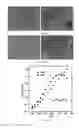 Fig. 31 - Thermoelectric materials synthesized by self-propagating high temperature synthesis process and methods thereof