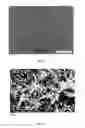 Fig. 05 - SINTER PASTE WITH COATED SILVER OXIDE ON NOBLE AND NON-NOBLE SURFACES THAT ARE DIFFICULT TO SINTER