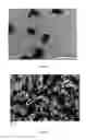 Fig. 06 - SINTER PASTE WITH COATED SILVER OXIDE ON NOBLE AND NON-NOBLE SURFACES THAT ARE DIFFICULT TO SINTER
