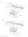 Fig. 03 - Removable handle provided with a device for detachable assembly