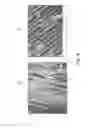 Fig. 04 - Manufacturing method for a high durability, high insulating composite timber member and a composite timber member