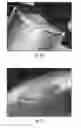 Fig. 06 - Method for three-dimensional fabrication